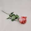 Rosa Coral (Unidade) - Sem Embalagem