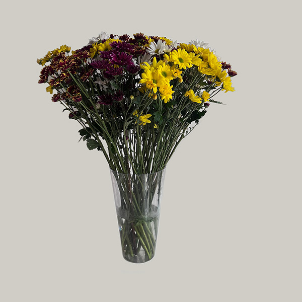 maço de flor do campo